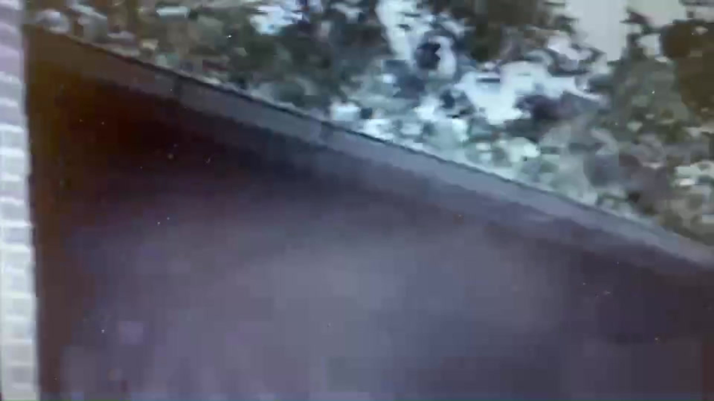 Minervina em Floripa [1991]